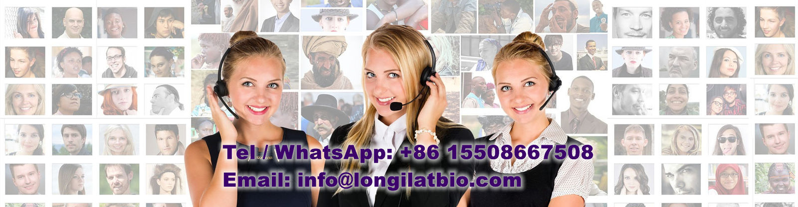 chất lượng GS-441524 nhà máy