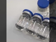 GS441524 Y học thú y cho bệnh mèo