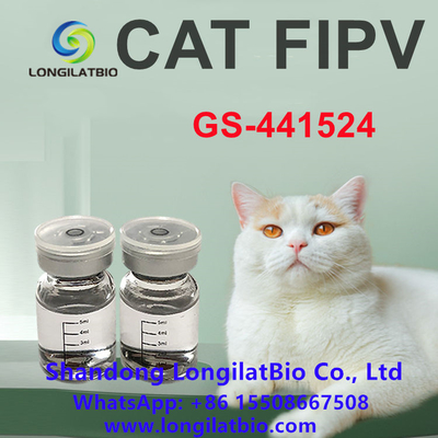 Anti FIP Remdesivir Điều trị FIP Cat FIP ​​GS 441 20mg/ML
