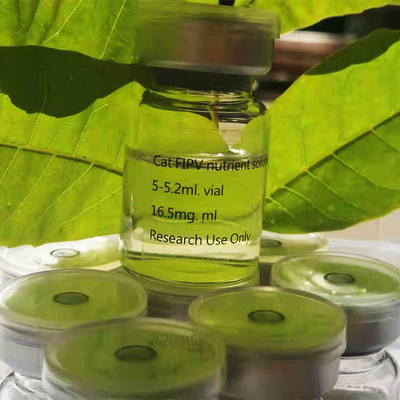 CAS 1191237-69-0 Cat FIP ​​Cure Điều trị FIP 20mg / ML GS FIP