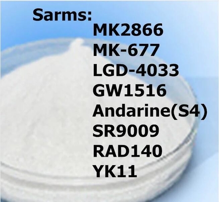 Cân bằng Nitrogen Ostarine Mk-2866 Sarms Powder GW-0742 Tăng cơ bắp