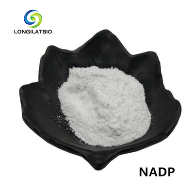 NADPH + Bột Beta-Nicotinamide Adenine Dinucleotide Phosphate