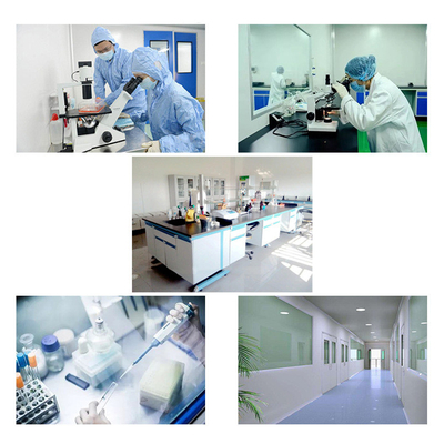 Bổ sung dinh dưỡng 98% Nicotinamide Riboside Clorua CAS 23111-00-4 NR